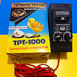 Терморегулятор для инкубатора ТРТ -1000 высокоточный , бесконтактный